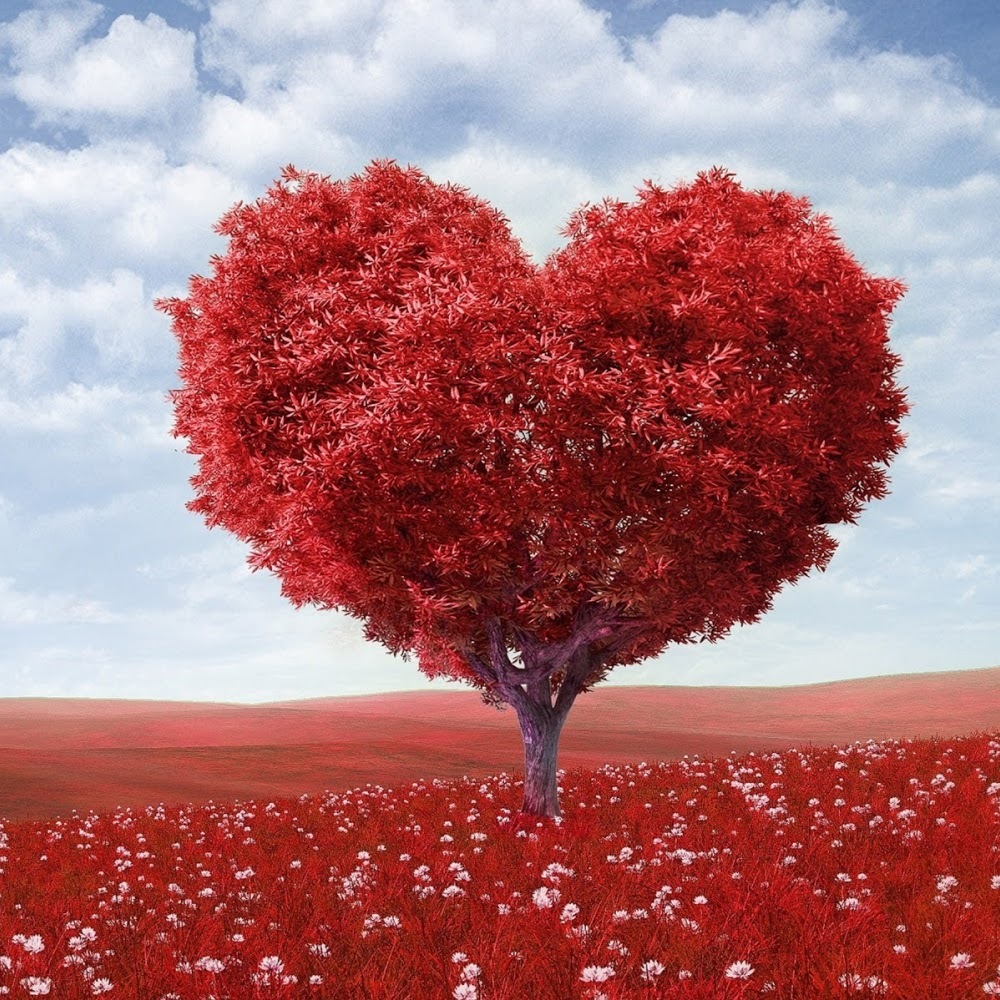 Meet your Posher, Tera